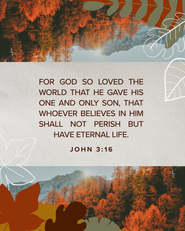 Scripture Posts