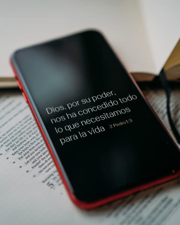 Dios, por su poder, nos ha concedido todo lo que necesitamos para la vida. - 2 Pedro 1:3