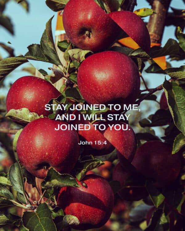 Stay joined to me, and I will stay joined to you. - John 15:4