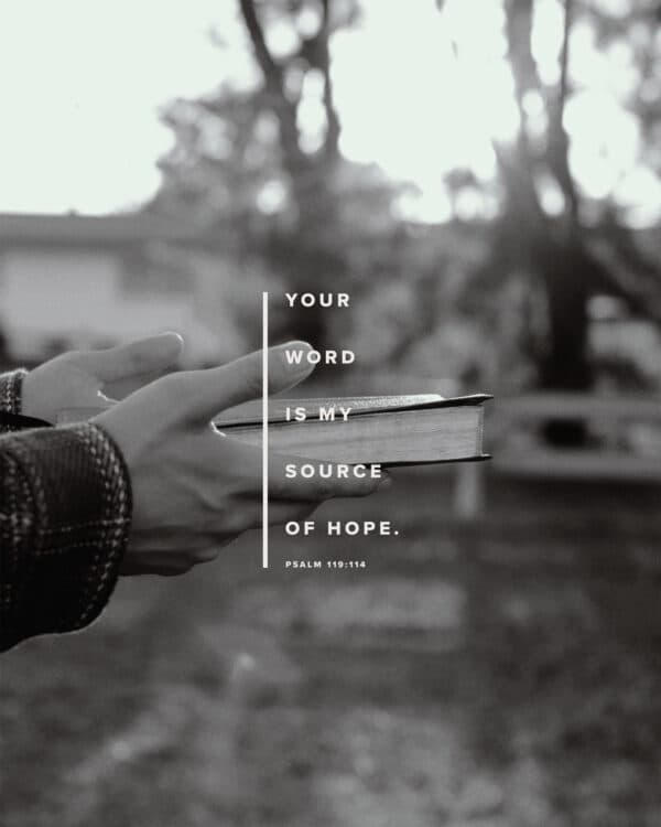 Your word is my source of hope. - Psalm 119:114