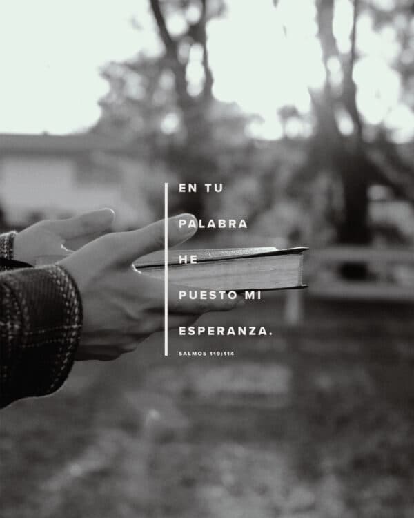 En tu palabra he puesto mi esperanza. - Salmos 119:114