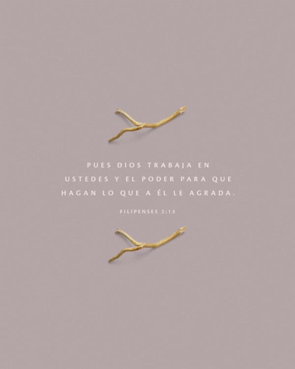 Pues Dios trabaja en ustedes y el poder para que hagan lo que a Él le agrada. - Filipenses 2:13