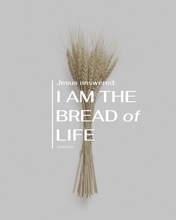 Jesus answered: I am the bread of life. - John 6:35