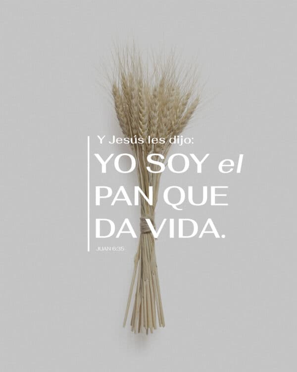 Y Jesús les dijo: —Yo soy el pan que da vida. - Juan 6:35