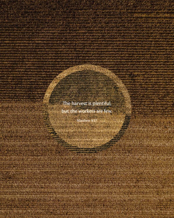 The harvest is plentiful, but the workers are few. - Matthew 9:37