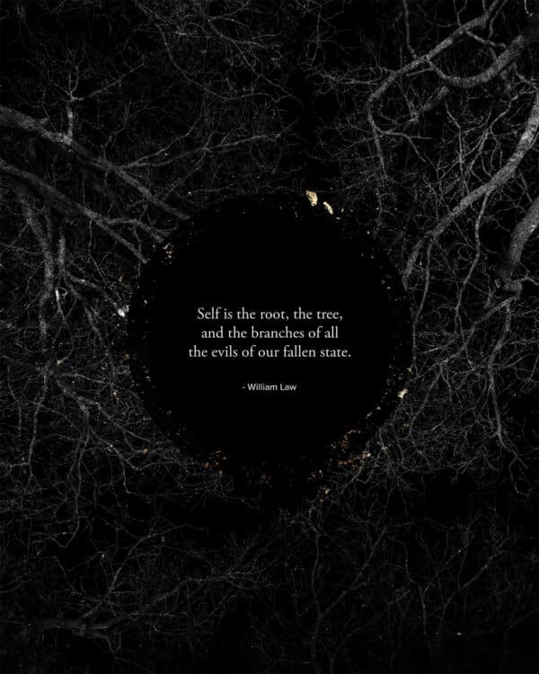 Self is the root, the tree, and the branches of all the evils of our fallen state. - William Law
