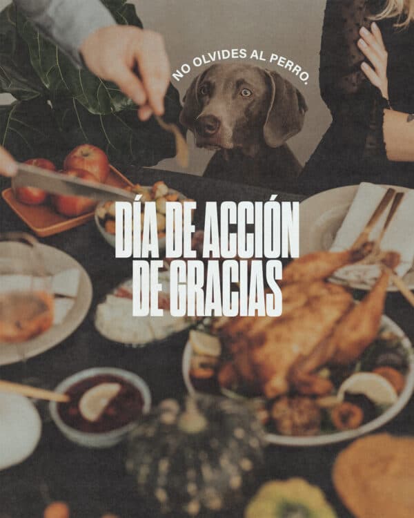 Día de Acción de Gracias. No olvides al perro.