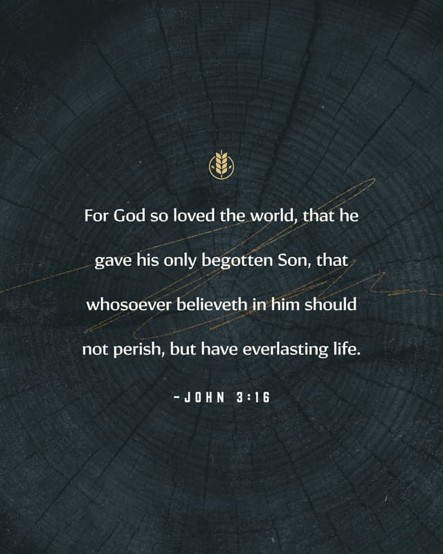 Scripture Posts