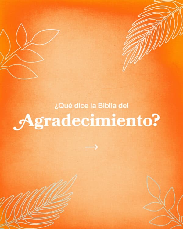 ¿Qué dice la Biblia del agradecimiento?