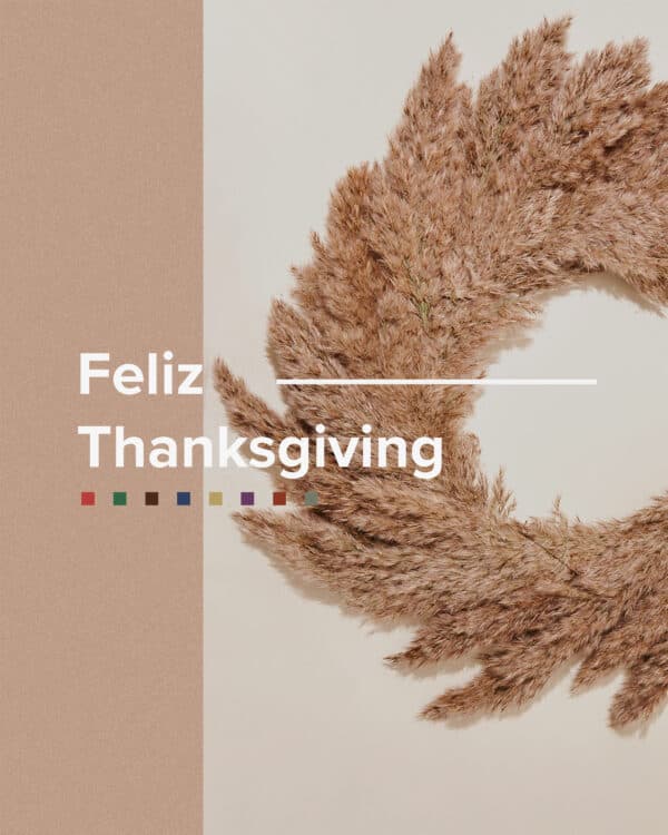 Feliz Thanksgiving
