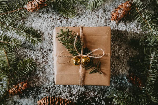 Fall and Christmas Shoot 8