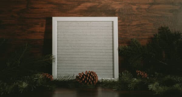 Fall and Christmas Shoot 18