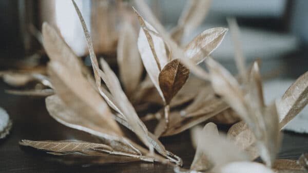 Fall and Christmas Shoot 38