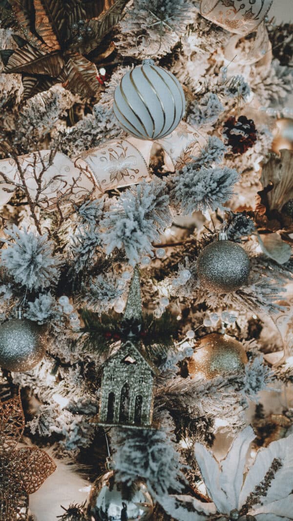 Fall and Christmas Shoot 39
