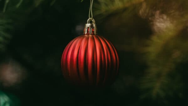 Fall and Christmas Shoot 43