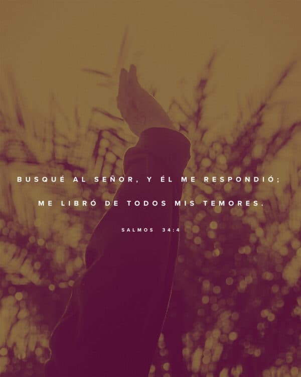 Busqué al Señor, y Él me respondió;  me libró de todos mis temores. - Salmos 34:4