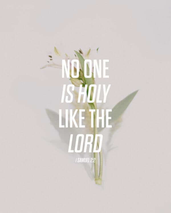 No one is holy like the LORD. - 1 Samuel 2:2