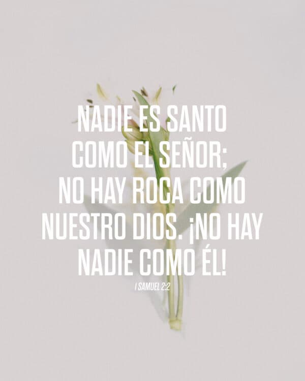 Nadie es santo como el Señor; no hay roca como nuestro Dios. ¡No hay nadie como Él! - 1 Samuel 2:2