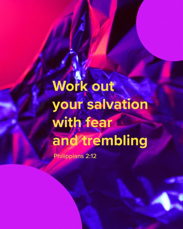 Work out your salvation with fear and trembling. - Philippians 2:12