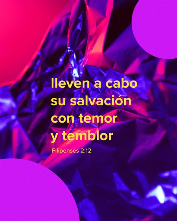 Lleven a cabo su salvación con temor y temblor. - Filipenses 2:12