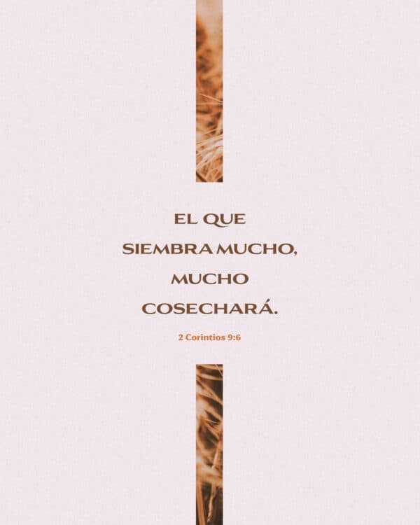 El que siembra mucho, mucho cosechará. - 2 Corintios 9:6