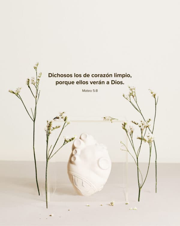 Dichosos los de corazón limpio, porque ellos verán a Dios. - Mateo 5:8