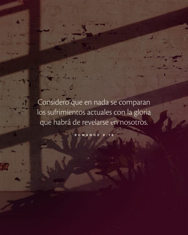 Considero que en nada se comparan los sufrimientos actuales con la gloria que habrá de revelarse en nosotros. - Romanos 8:18