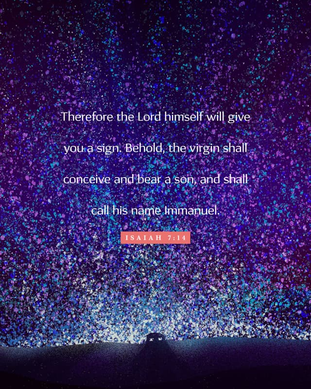 Scripture Posts