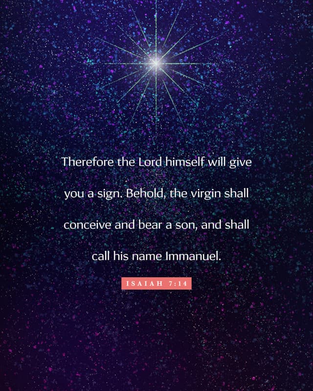 Scripture Posts