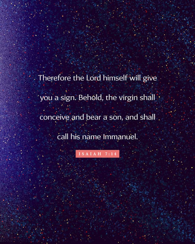 Scripture Posts