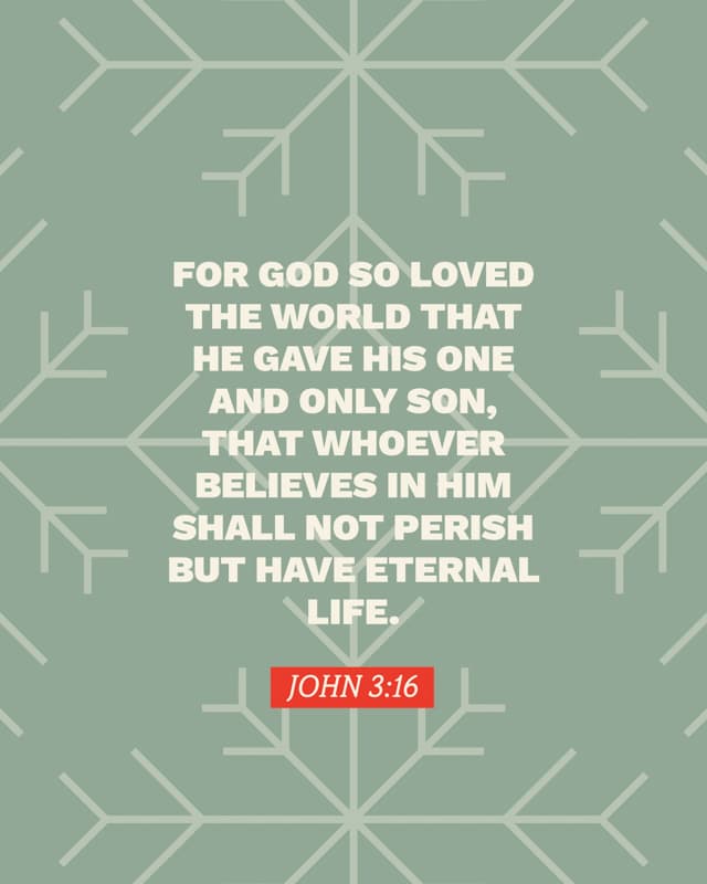 Scripture Posts