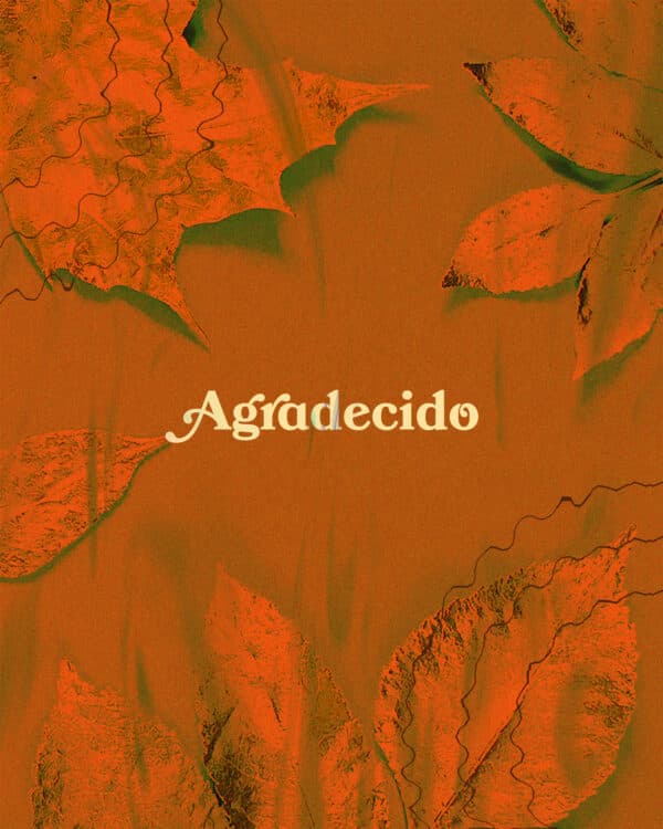 Agradecido
