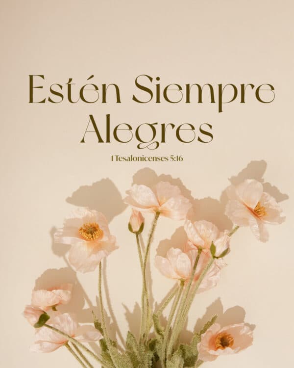 Estén siempre alegres. - 1 Tesalonicenses 5:16