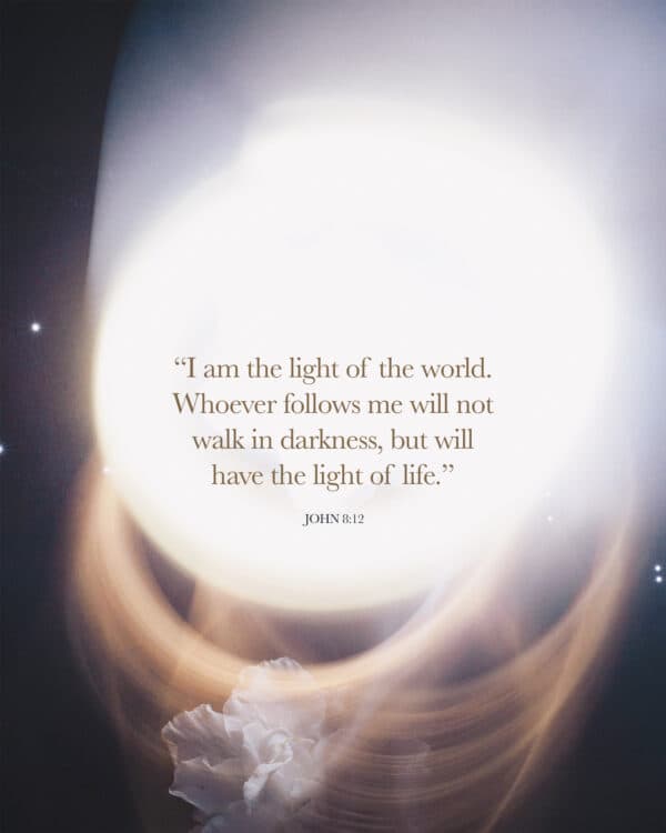 I am the light of the world. Whoever follows me will not walk in darkness, but will have the light of life. - John 8:12