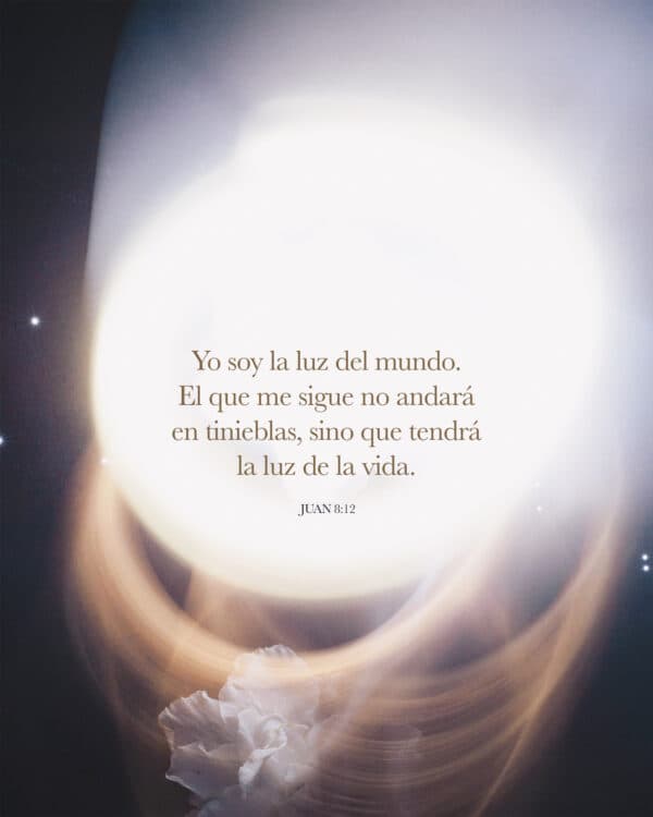 Yo soy la luz del mundo. El que me sigue no andará en tinieblas, sino que tendrá la luz de la vida. - Juan 8:12