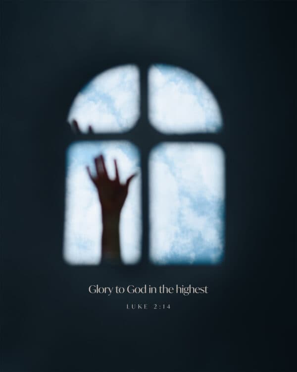 Glory to God in the highest. - Luke 2:14