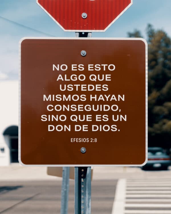 No es esto algo que ustedes mismos hayan conseguido, sino que es un don de Dios. - Efesios 2:8