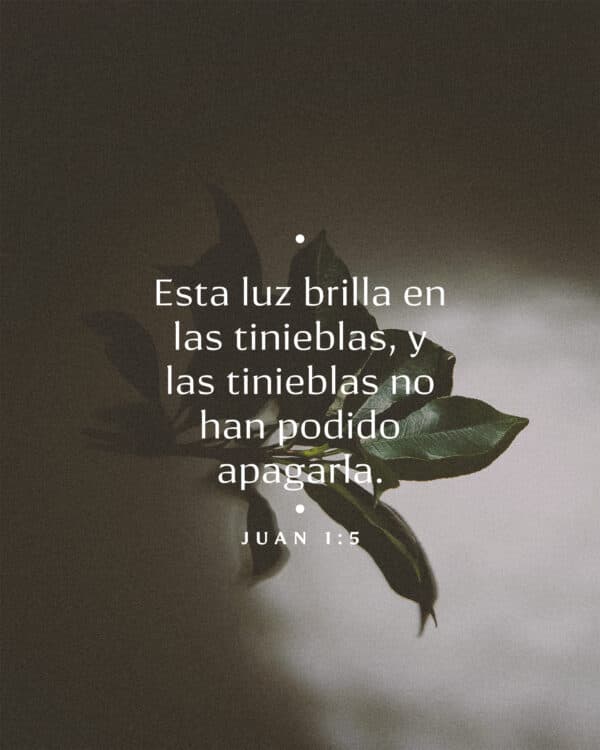 Esta luz brilla en las tinieblas, y las tinieblas no han podido apagarla. - Juan 1:5