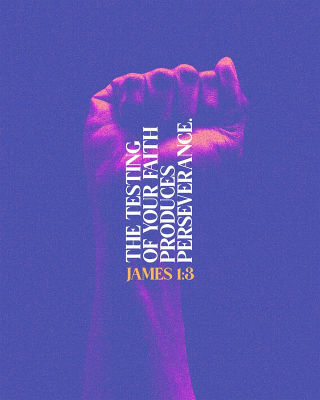 Scripture Posts