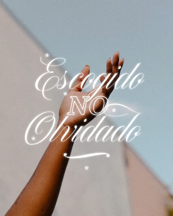 Escogido no olvidado