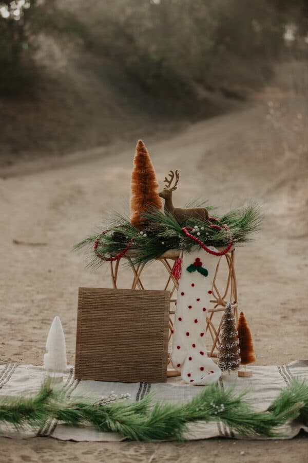 LA Christmas Shoot 1
