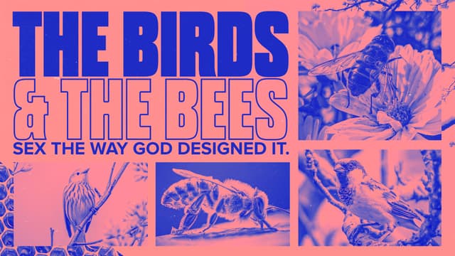 The Birds and the Bees: Sex the way God designed it.