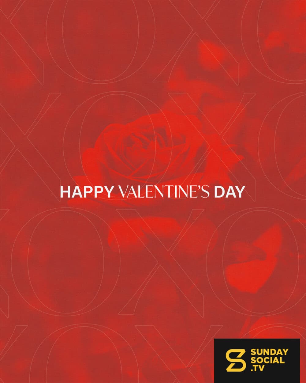 Happy Valentine's Day