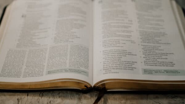 November 2021 Bible Shoot 6