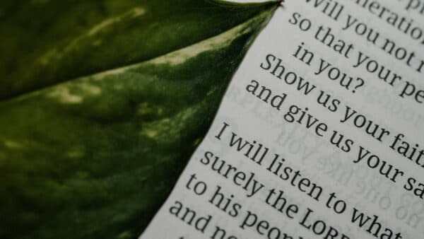 November 2021 Bible Shoot 8