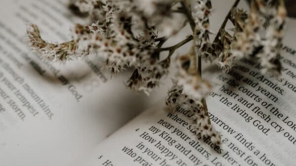 November 2021 Bible Shoot 11
