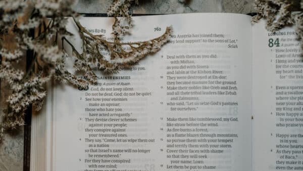 November 2021 Bible Shoot 12