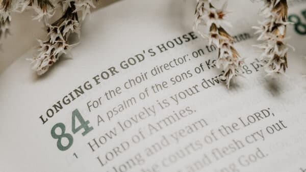 November 2021 Bible Shoot 13