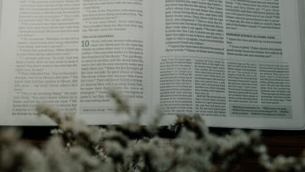 November 2021 Bible Shoot 14