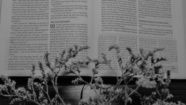 November 2021 Bible Shoot 15